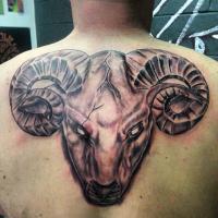 Ram Tattoo on Back